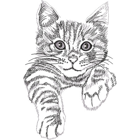 Hanorac Brodat - Cute Cat
